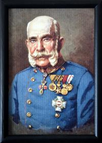 Obálka titulu Císař František Josef I.